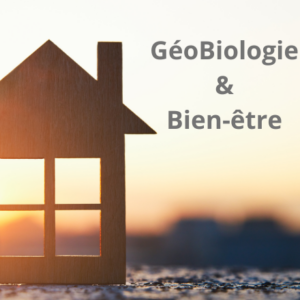 GeoBiologie _ Lieu de Vie/Travail
